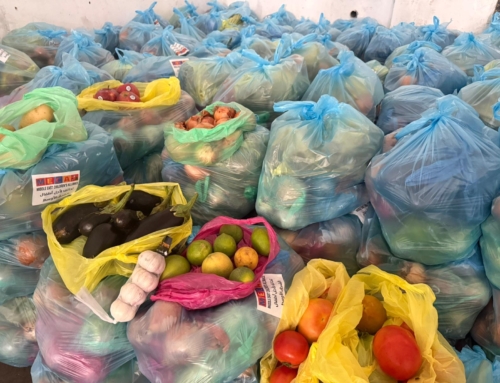 VIDEO: Fresh fruits and vegetables for families in Gaza