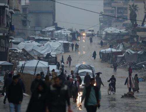 DOUBLE your year-end gift to MECA now